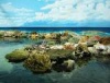Underwater Reef (National Geographic)
