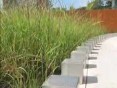 ASLA 2007 General Design Award Winners