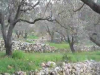 ASLA 2007 Analysis and Planning Award Winners