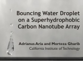 Water Droplet Bouncing on a Superhydrophobic Carbon Nanotube Array (2010)