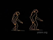 Carl Sagan On Evolution
