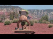 Blissful Hip Openers